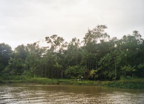 Amazonasbewohner