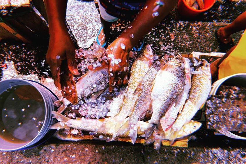 Mercado en Quibdó, Colombia