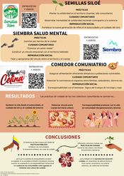 Cuidado comunitario_Seite_2