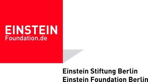 Logo Einsteinstiftung