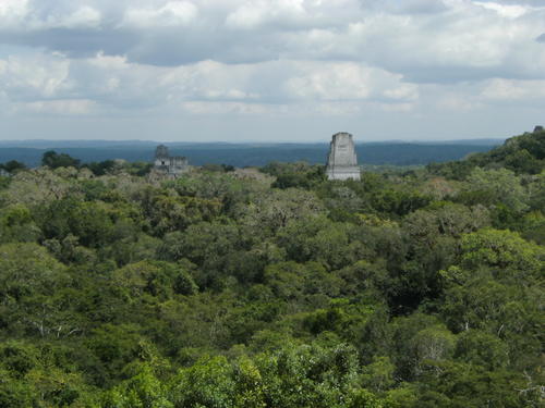 Tikal, Blick auf Zwillingspyramide