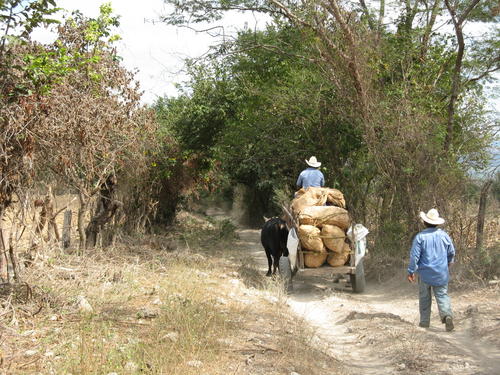 Transportwege, Chiapas, Mexiko