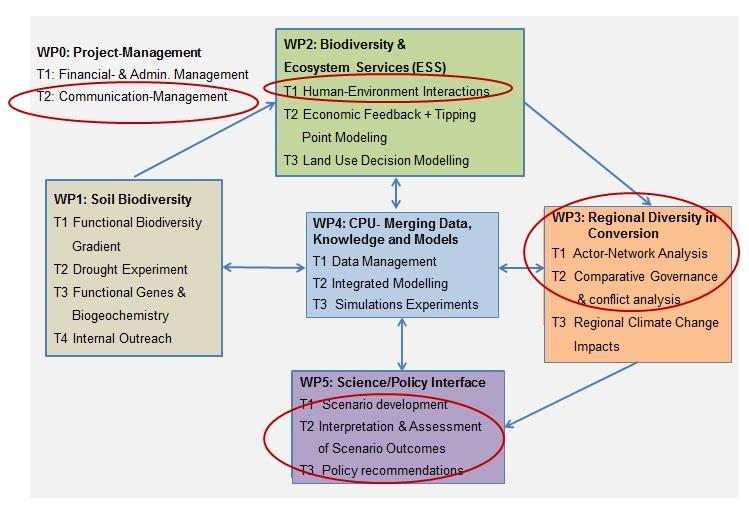 Project Structure