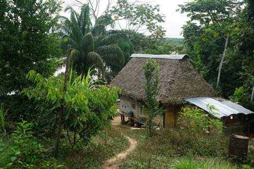 Amazonas