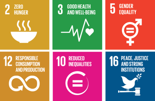 Objetivos de Desenvolvimento Sustentável e Food for Justice