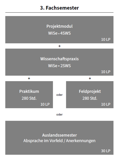 Verlaufsplan 3. Fachsemester Masterstudiengang Interdisziplinäre Lateinamerikastudien (SPO 2023)